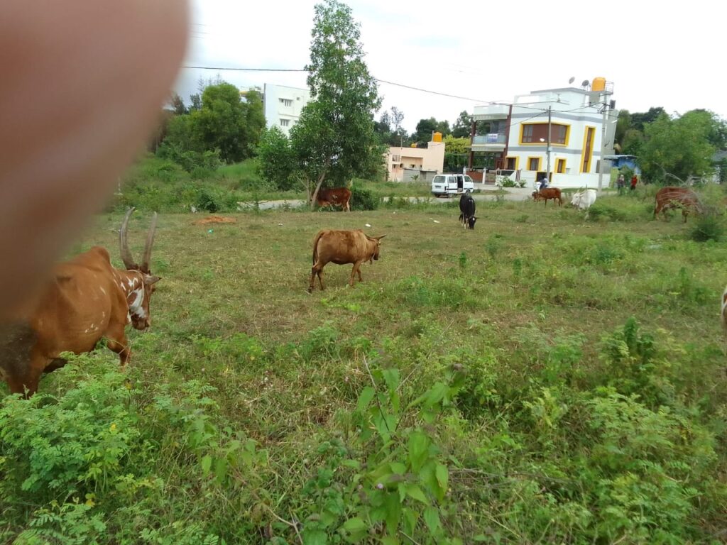 Jaya with Bargur Lakshmi